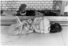 �������ݣ������������쥯�����ݣ���