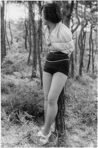 ¼��������03Mc