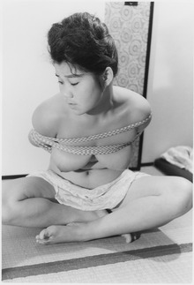 115-09��Ĺ���ɻң�