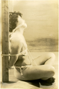 185-01d 伊吹真佐子嬢悦虐集04Cb