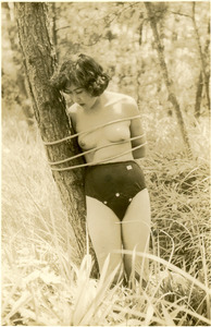 ������91-01Cb