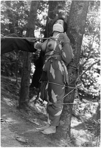 151-03 �����ջң�c