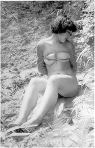 ������91-02Md