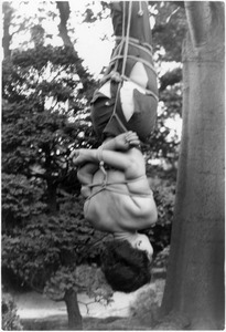 149 ��¼�λң���c