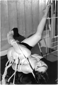 V063 �����ʻ�c