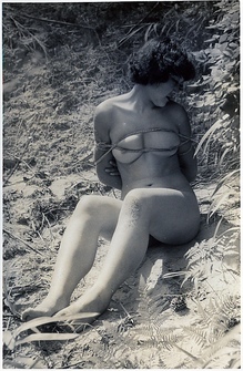 91-2¼��������'53/6����������ˤ�