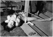 �������ݣ�����¼����