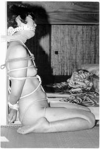 V085 �������d