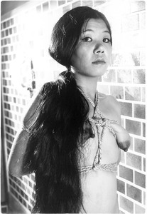 V027 ʡ������c