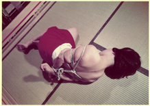 �������ݣ���