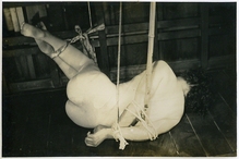 54-1���������