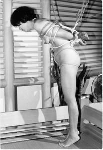 V086 �������c