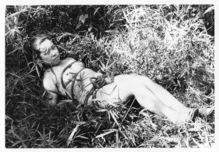 �����ݣ���