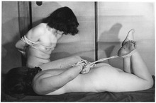 118-5)����ǯ��������������5