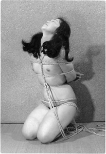 193-014 Z組014一宮 001d