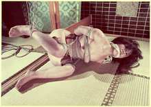 �������ݣ���