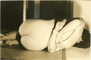 186 緊縛美のオンパレード 40-2Cb