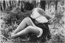 ¼��������06Mc