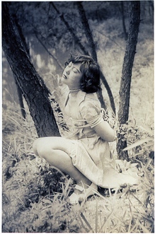 91-4¼��������