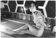 �����ͣ�45��Ĺ�����Ż�