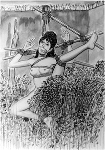 197-43 司馬孝 しお3 043d