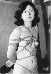 168-28 Y027 Á°ÅÄc