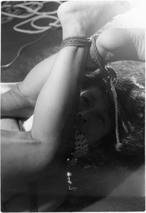 023 Y047ë�������ҡֶ˸¤ζ��˽�����c