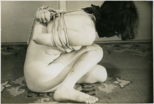 81-1�ʾ����ܤ������˸�겣��