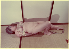 �������ݣ���