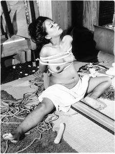 V035 ʡ������c