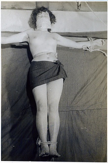 79-3������