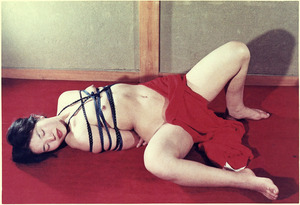 179-01b ¤ë¤Î2 °ìµÜÉ´¹ç»Òc