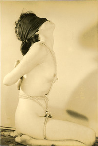 ������81-02Cb