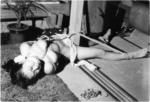 V51 ��¼����c