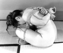 Ol��Fan�����ͷ��ң�