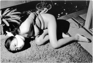 V44 ��¼����c