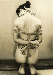 173-18 はな2-08C 花坂道子b