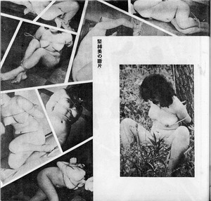 ��5208���ޣ�