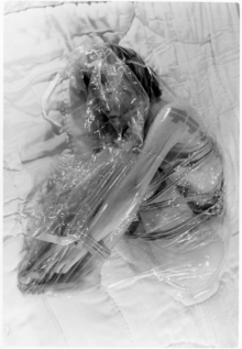 �ݻҤҤ��ҡʤޤ��ˣ⡩