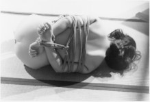 �������ݣ������������쥯��������ͷ��ҡ�