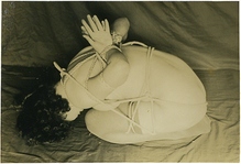 68-4�����������ʡ����������Ƥ����