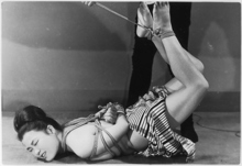 Z04���ͷ��ҵե��Ӷ�������