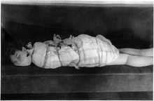 伊吹真佐子144-13Mc