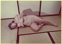 �������ݣ���