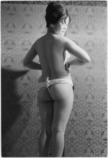 ���󣲶���������