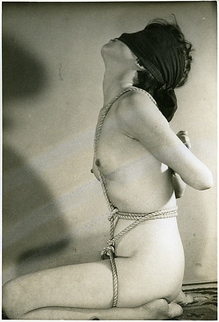 81-2�ʾ����ܤ���������������